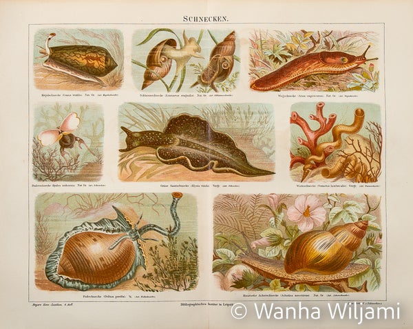 Etanat kromolitografi