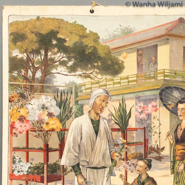 Opetustaulu japanilaisia