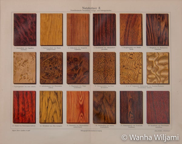 Puulajeja kromolitografi