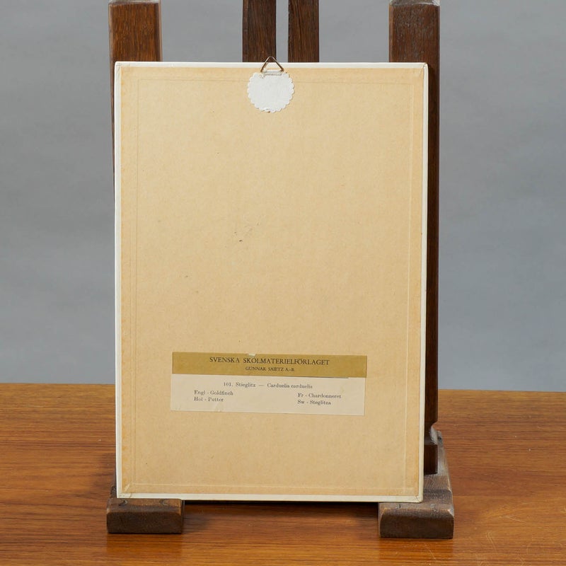 Vintage opetustaulu &ndash; Tikli (Carduelis carduelis)