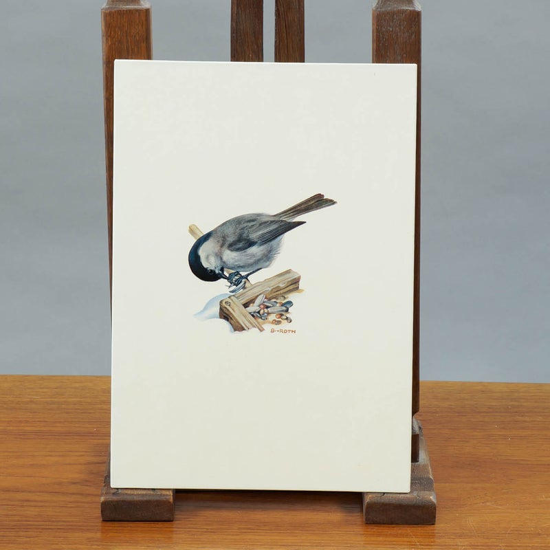 Vintage opetustaulu &ndash; Viitatiainen (Parus palustris)