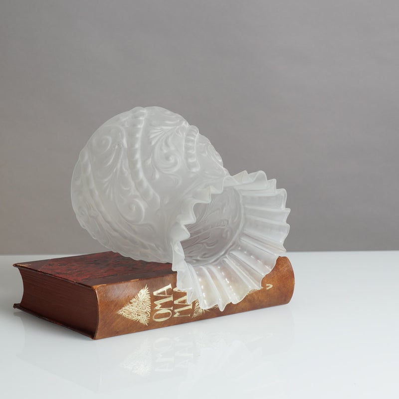 Vanha &ouml;ljylampun tulppaanikupu